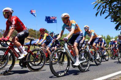 Nick Schultz, Tour Down Under 2026
